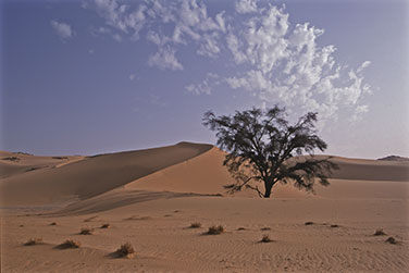 Eingang in das Karkur Talh