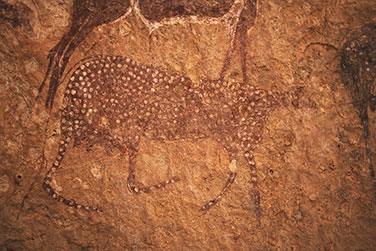 Felszeichnung einer Ziege