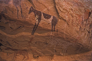 Felszeichnungen mit Rindern, Menschen und Ziegen