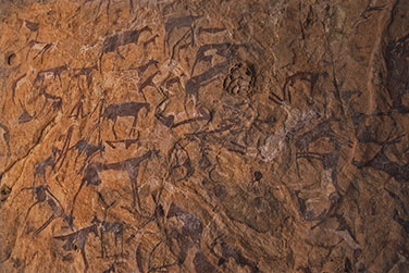 Felszeichnungen einer großen Ziegenherde