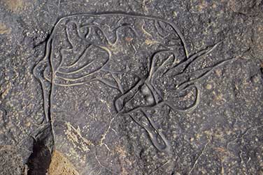 Felsgravuren von Tinterhert - Die schlafende Gazelle