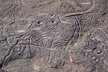 Die Kuh von Tinterhert