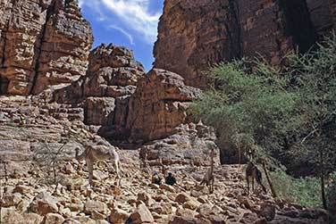 Das Tal von Essendilène