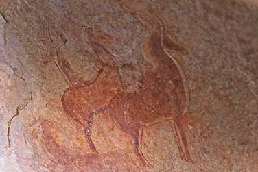 Die Tamrit Antilopen