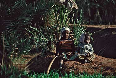 Kinder in der Oase Timimoun
