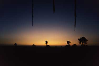 Sonnenaufgang in der Oase Timimoun